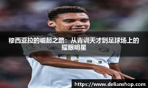 新利体育