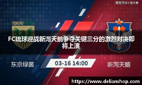 FC琉球迎战新泻天鹅争夺关键三分的激烈对决即将上演